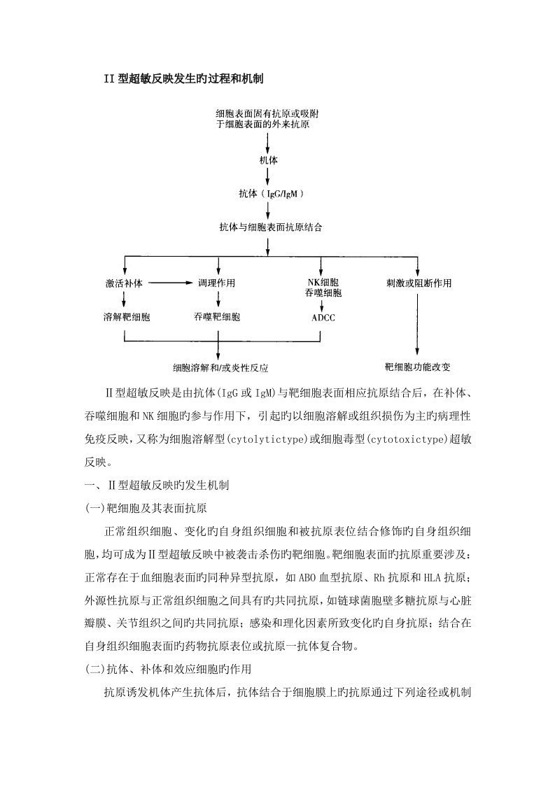 II型超敏反应发生的过程和机制