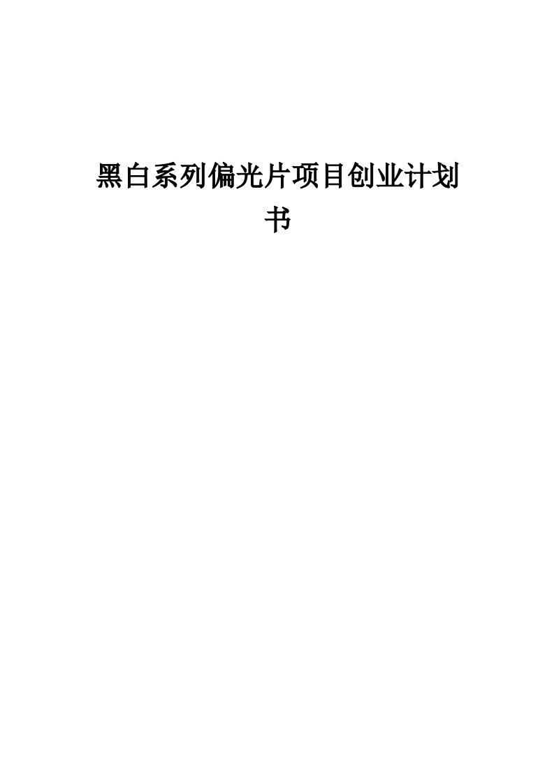 黑白系列偏光片项目创业计划书