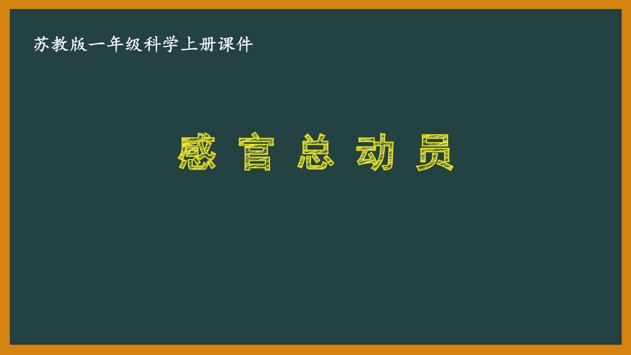 苏教版一年级科学上册第二单元《5.感官总动员》优秀课件