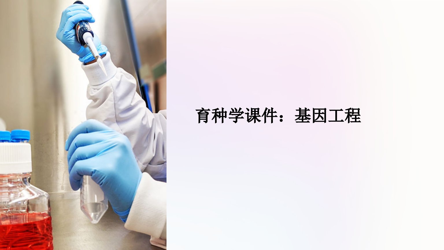 育种学课件：基因工程