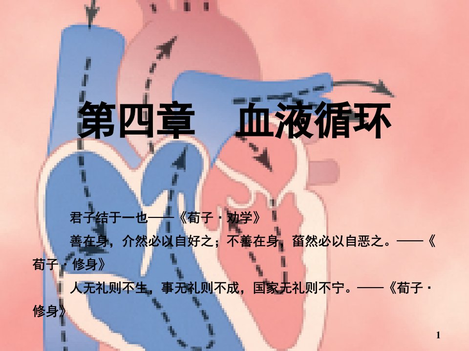 生理学课件04血液循环临床医学人卫第八版