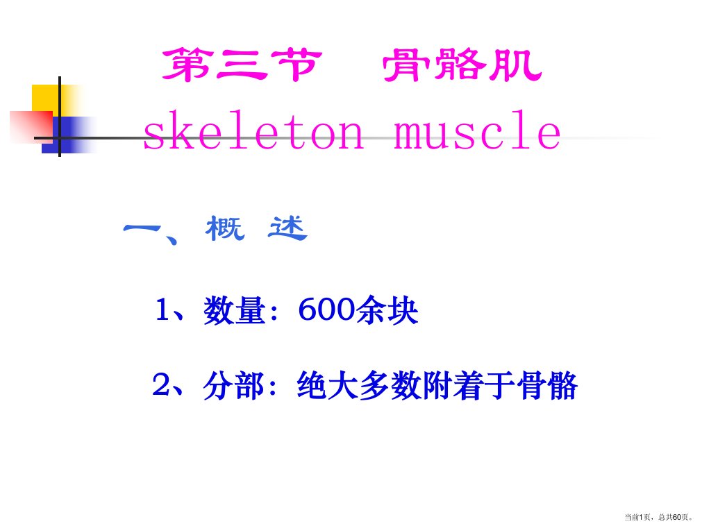 运动解剖学(运动医学)