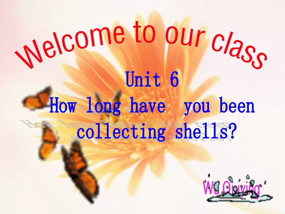 八年级英语新目标下unit_6_how_long_have_you_been_collecting_shell