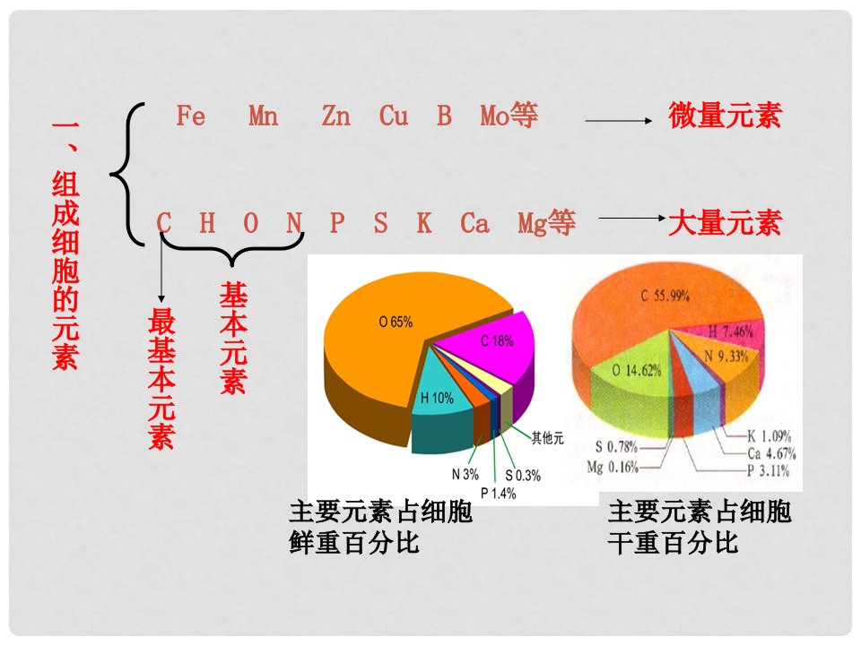 高中生物