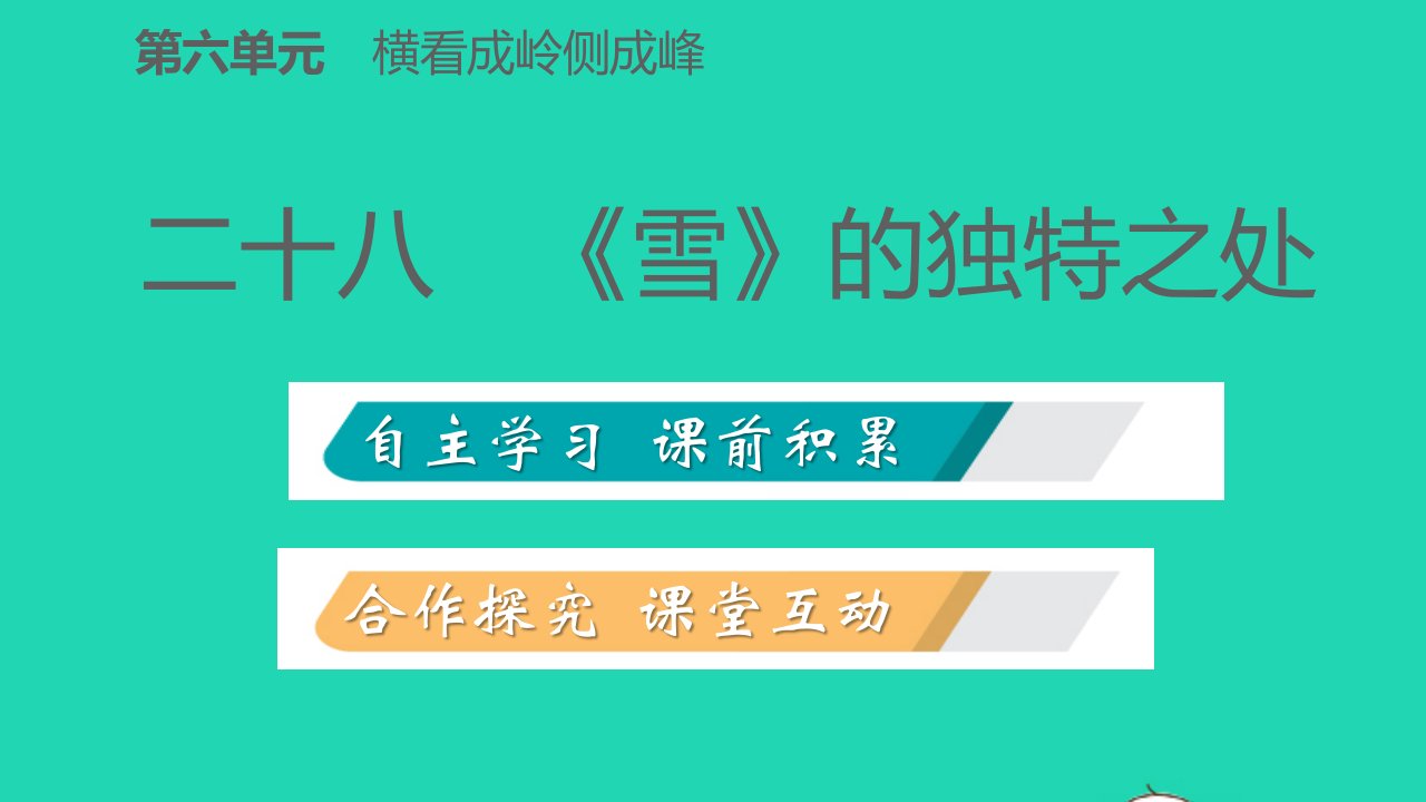 九年级语文下册第六单元28雪的独特之处习题课件苏教版