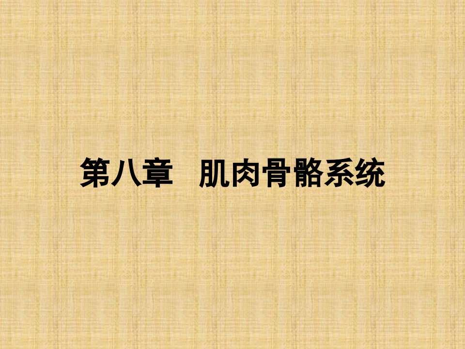 肌肉骨骼疾病超声诊断