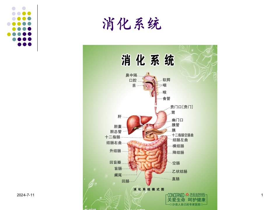 课件胃肠肝胆疾病营养治疗nxpowerlite