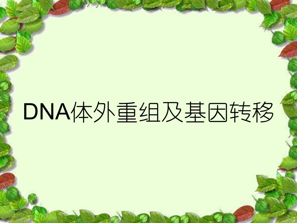 DNA体外重组及基因转移