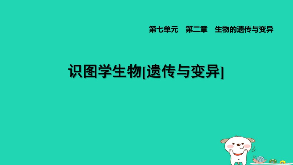 2024八年级生物下册第七单元生物圈中生命的延续和发展识图学生物[遗传与变异]习题课件新版新人教版