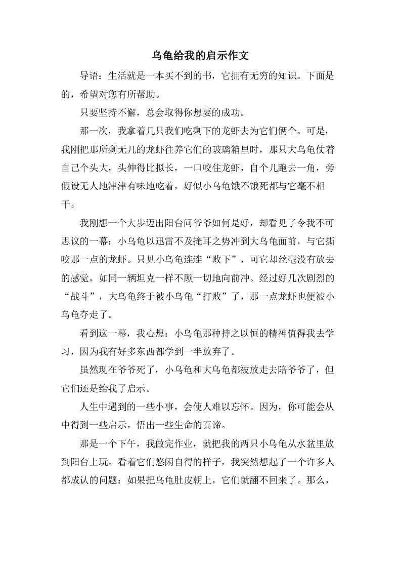 乌龟给我的启示作文