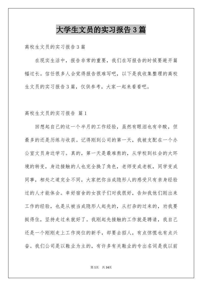 大学生文员的实习报告3篇