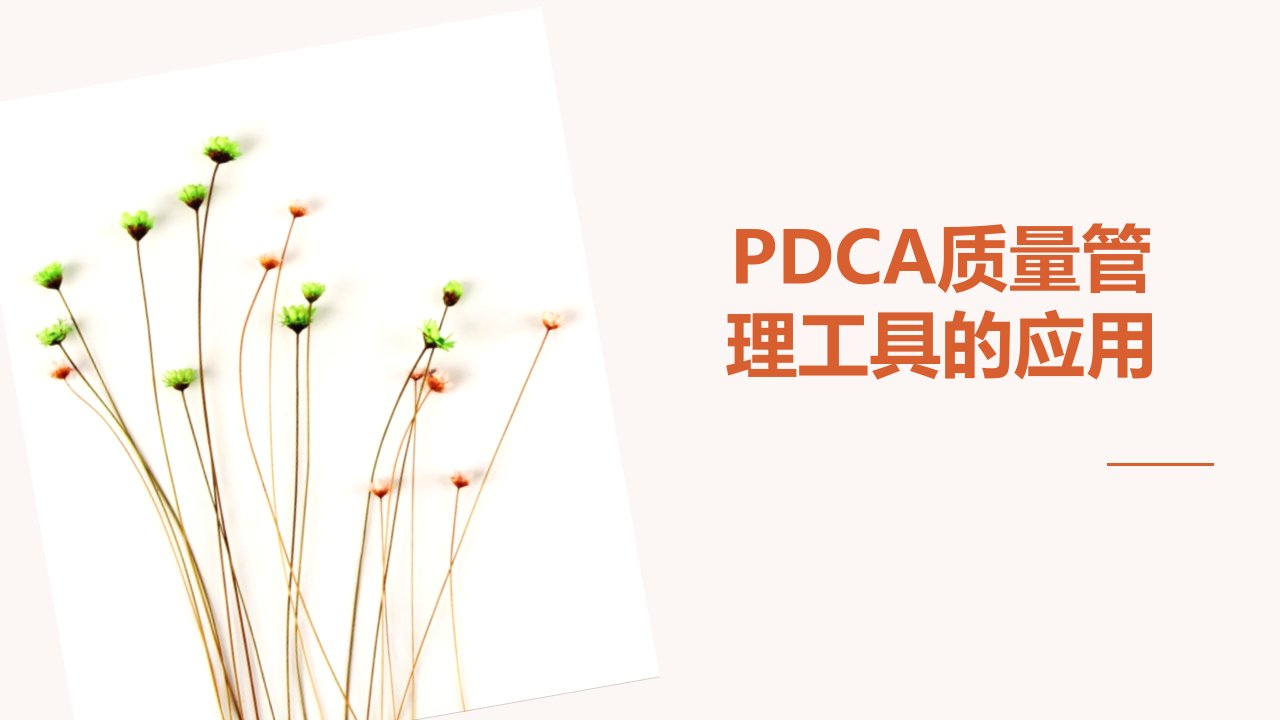 医院PDCA管理工具应用