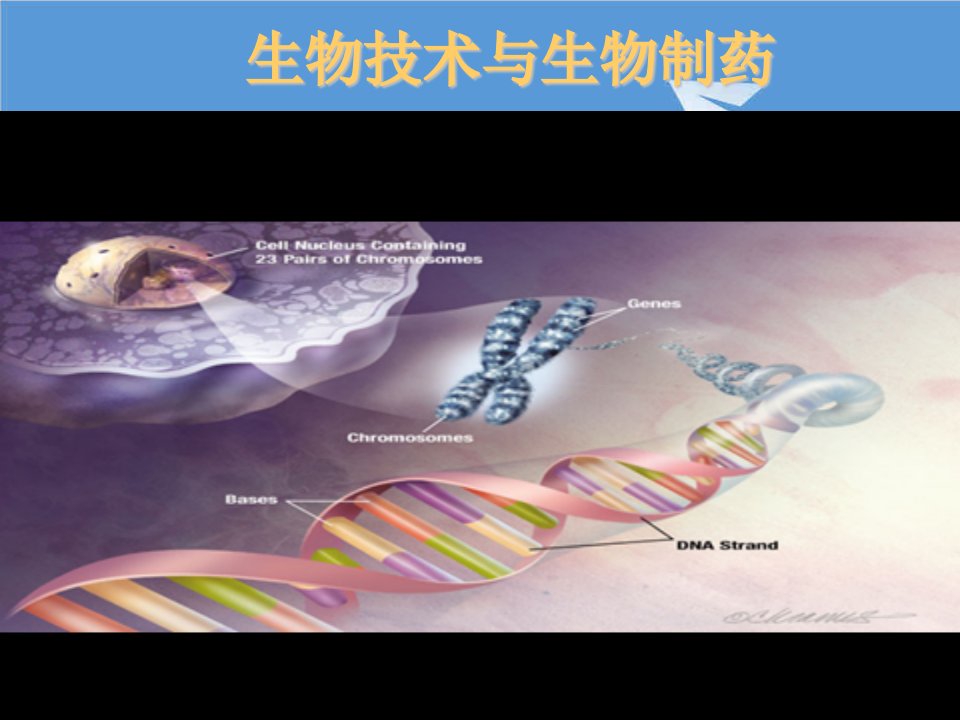 医疗行业-生物技术与生物制药课件