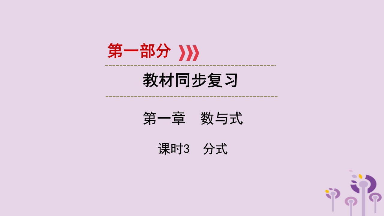 （陕西专用）2019中考数学总复习