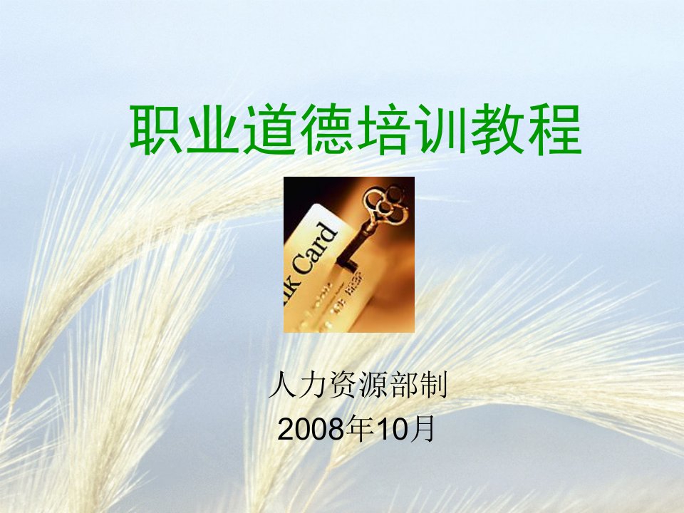 《华龙电器公司2008年职业道德培训教程》(29页)-管理培训