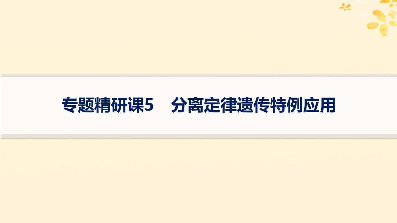 适用于新高考新教材备战2025届高考生物一轮总复习第5单元孟德尔遗传定律与伴性遗传专题精研课5分离定律遗传特例应用课件