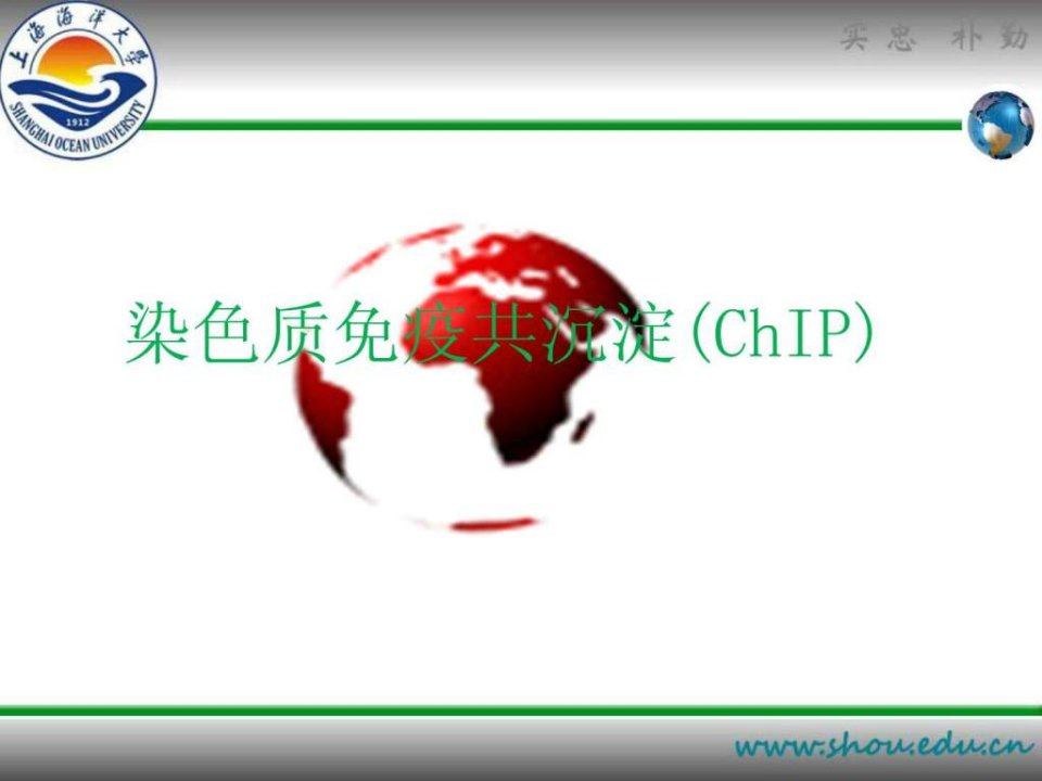 染色质免疫共沉淀PPT.ppt