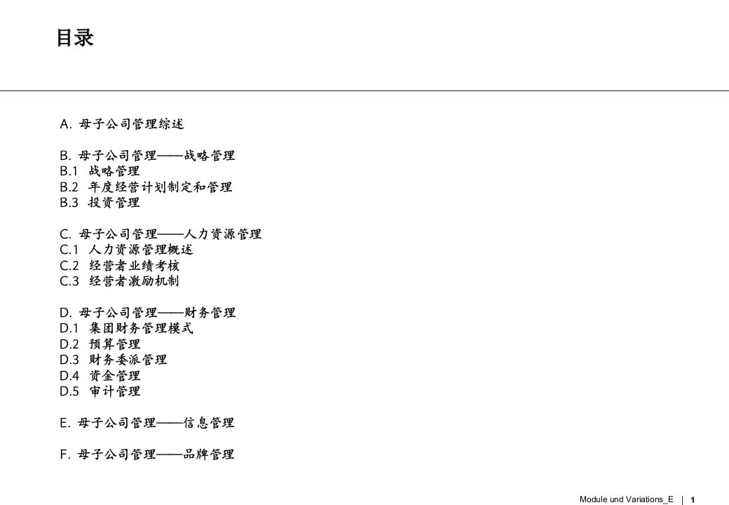 新华锦集团母子公司管理体系设计报告