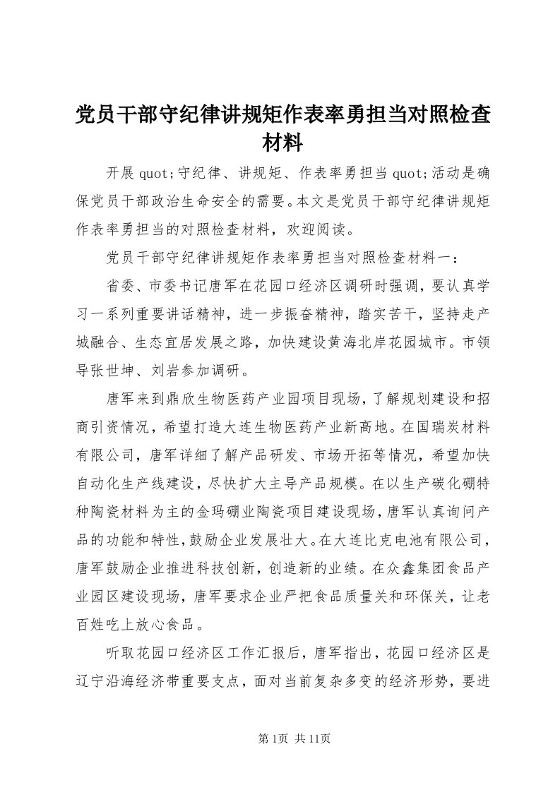 党员干部守纪律讲规矩作表率勇担当对照检查材料