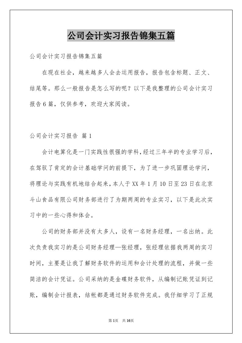 公司会计实习报告锦集五篇