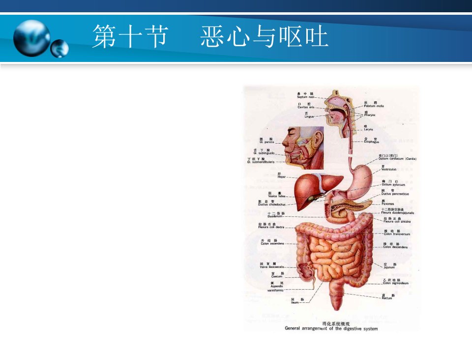 恶心呕吐呕血便血腹痛课件