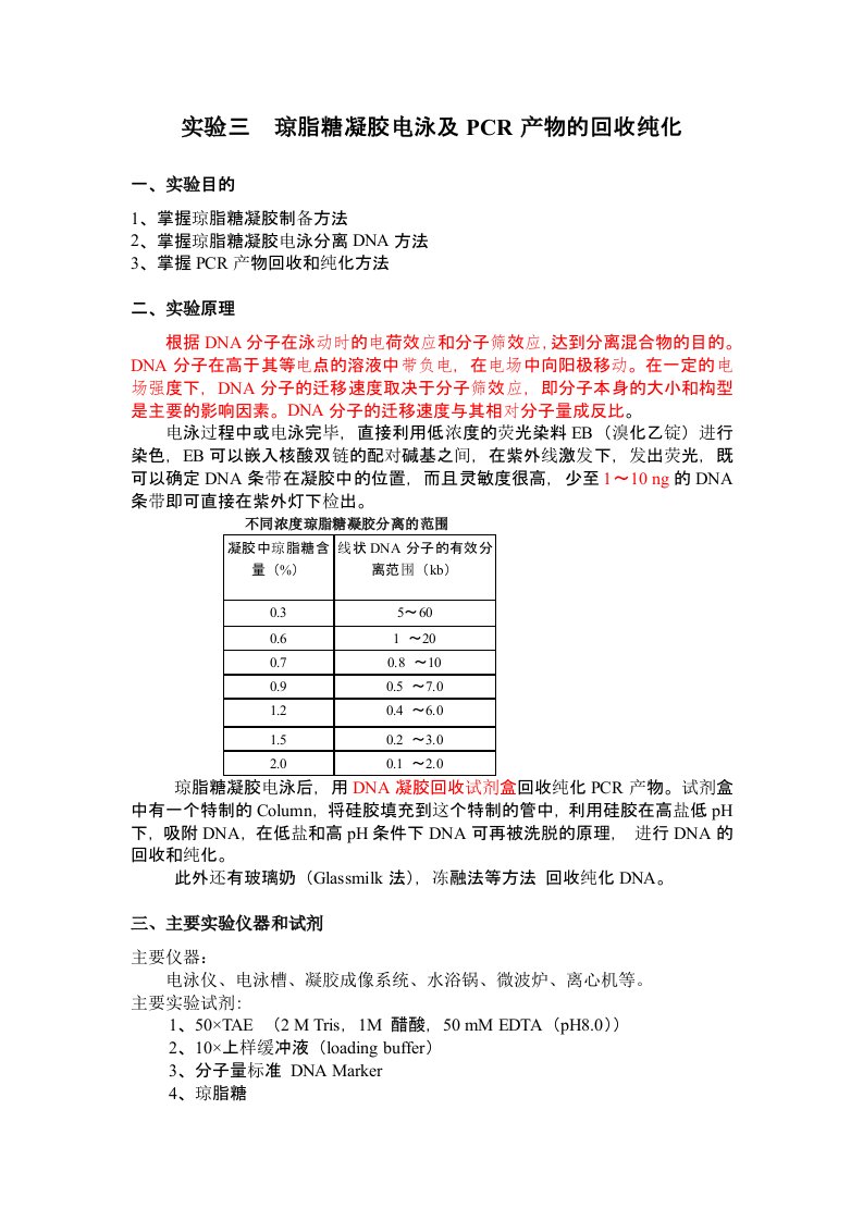 琼脂糖凝胶电泳及PCR产物的回收纯化