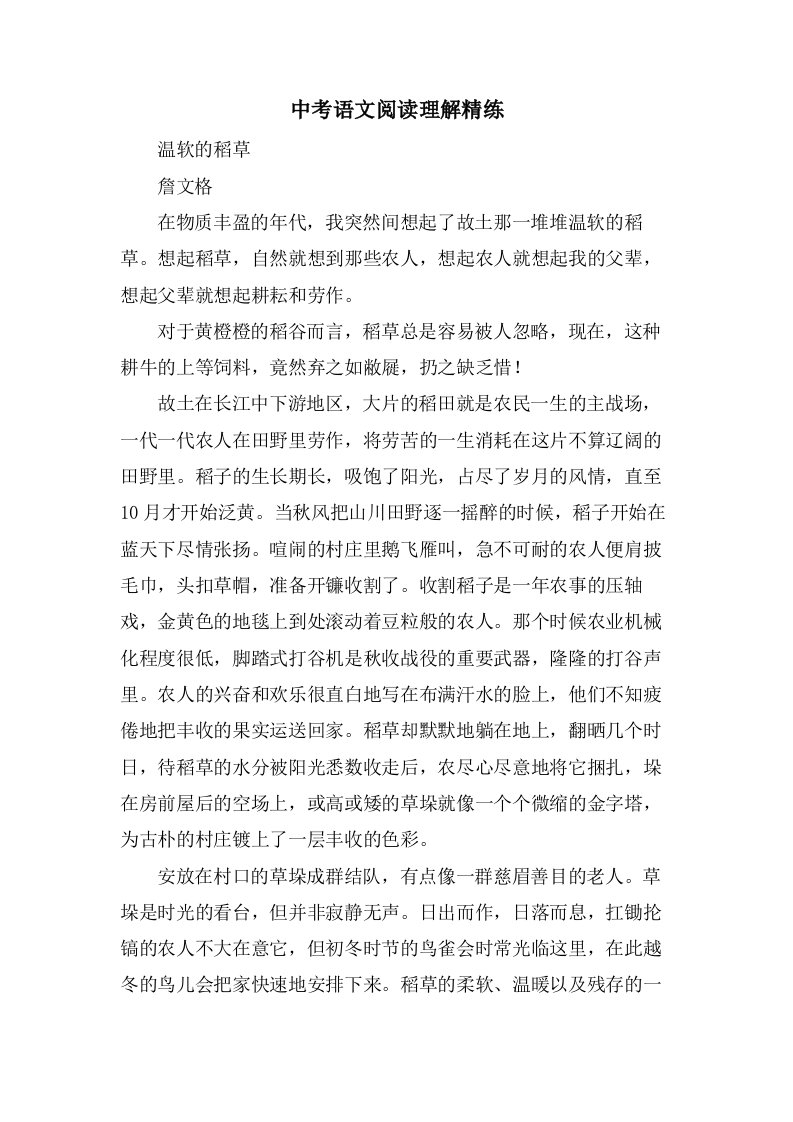 中考语文阅读理解精练