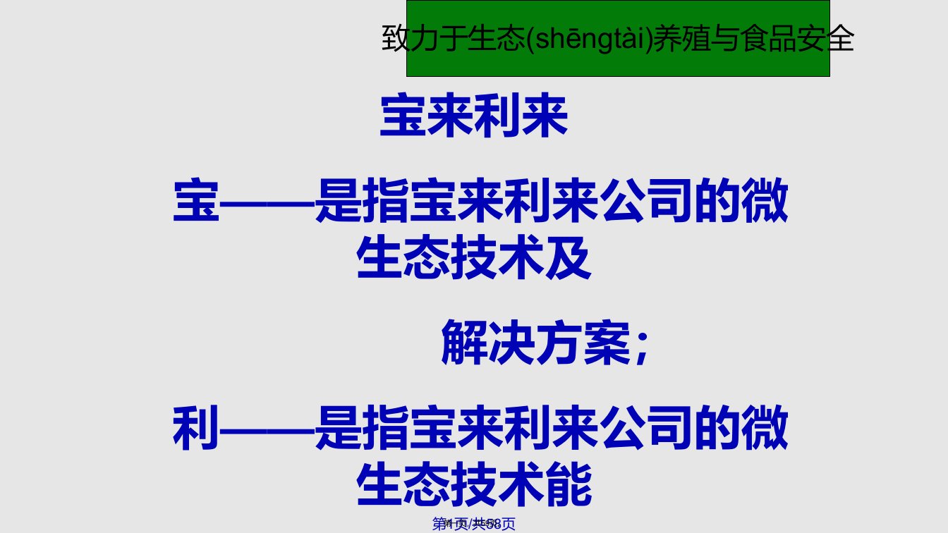 宝来利来简介实用教案