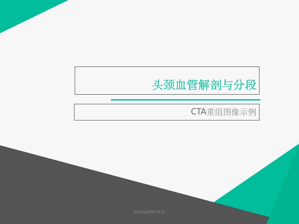 CTA头颈血管解剖分段ppt课件