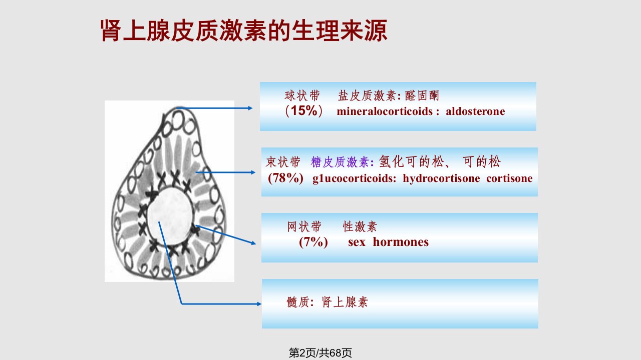 肾上腺肾功能检测全解