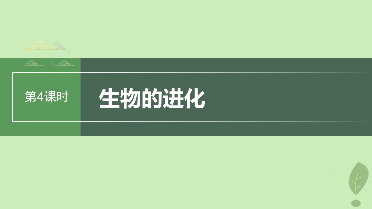 2024届高考生物一轮复习第七单元生物的变异和进化第4课时生物的进化课件苏教版