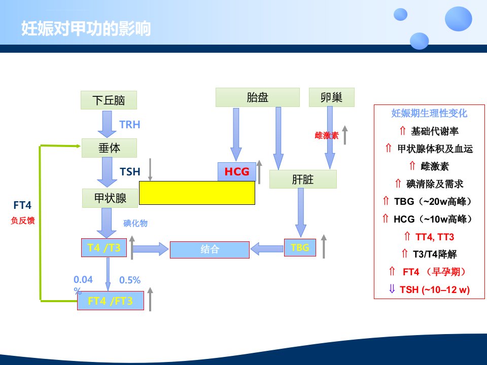 妊娠期甲状腺激素的应用与管理ppt课件