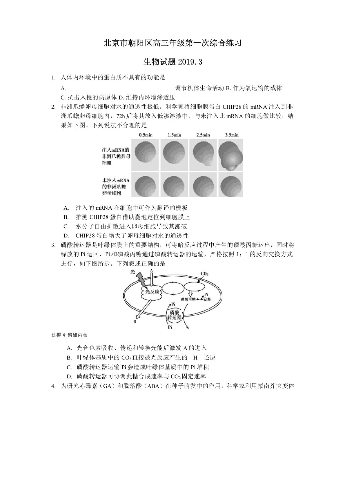 2019高三生物朝阳区一模试题及答案