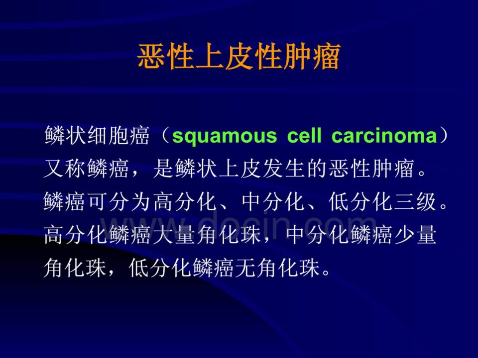 基础医学北大病理学PPT课件恶性上皮性肿瘤