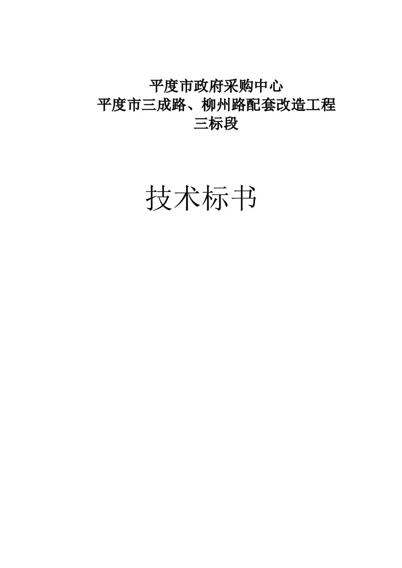 某市政道路配套工程技术标