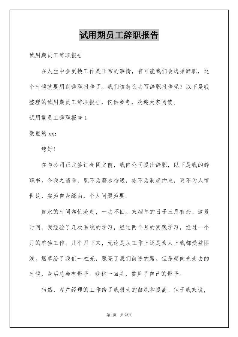 试用期员工辞职报告例文4