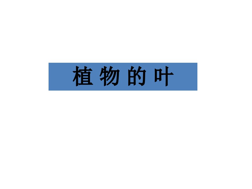 小学科学三年级上册植物的叶市公开课一等奖百校联赛获奖课件