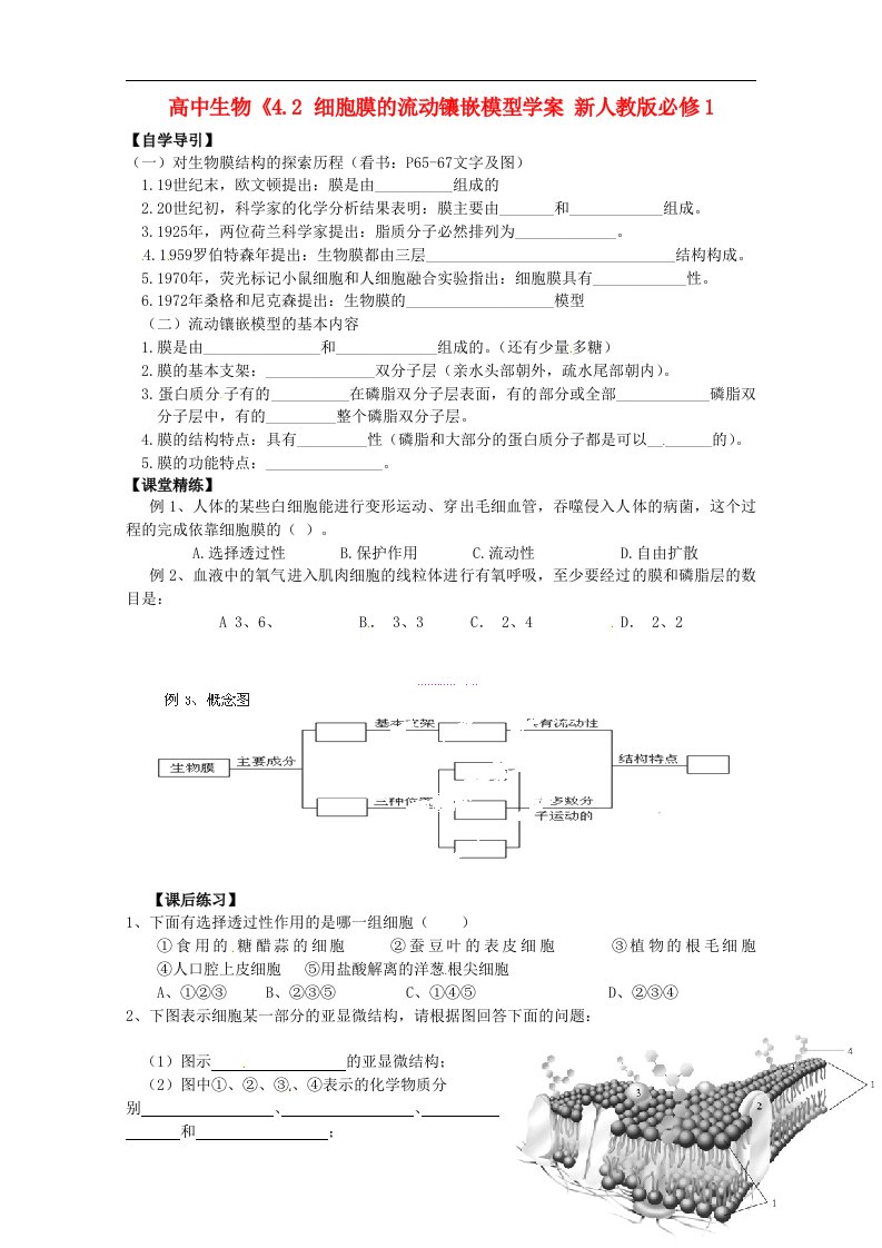 高中生物《4.2