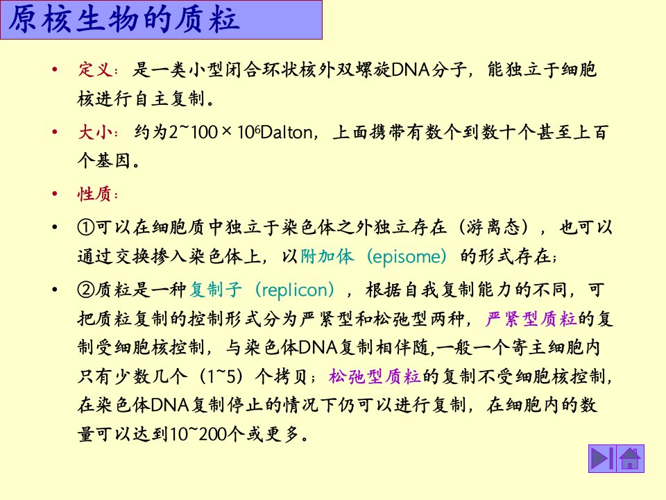 基因突变与原核生物的质粒课件