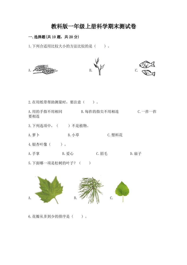 教科版一年级上册科学期末测试卷一套