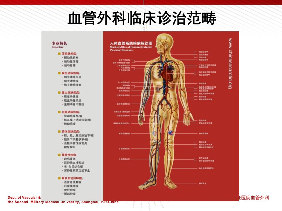 vte的病理基础和发病率