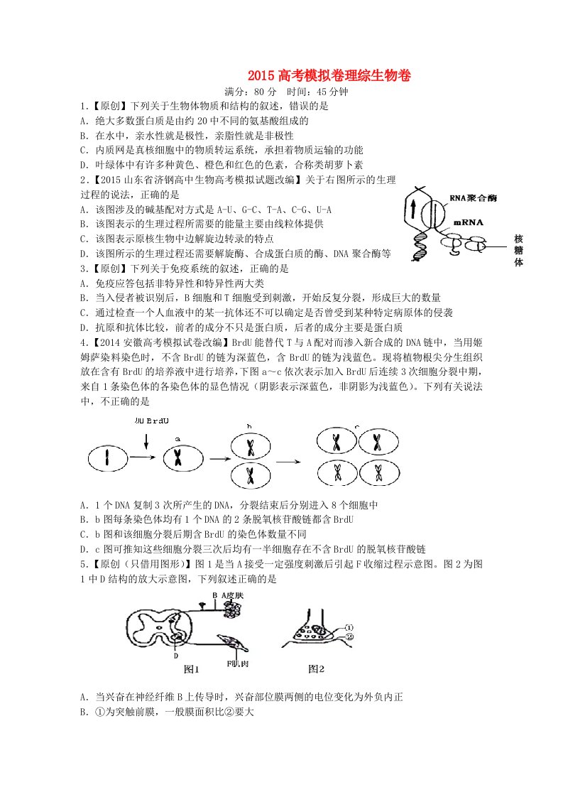 浙江省杭州市2015年高考生物模拟命题比赛11