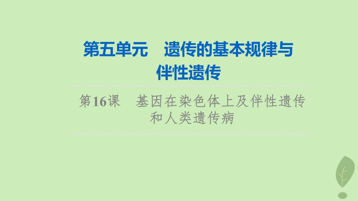 2024版高考生物一轮总复习第5单元遗传的基本规律与伴性遗传第16课基因在染色体上及伴性遗传和人类遗传参件