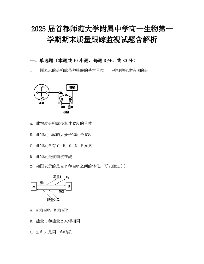 2025届首都师范大学附属中学高一生物第一学期期末质量跟踪监视试题含解析