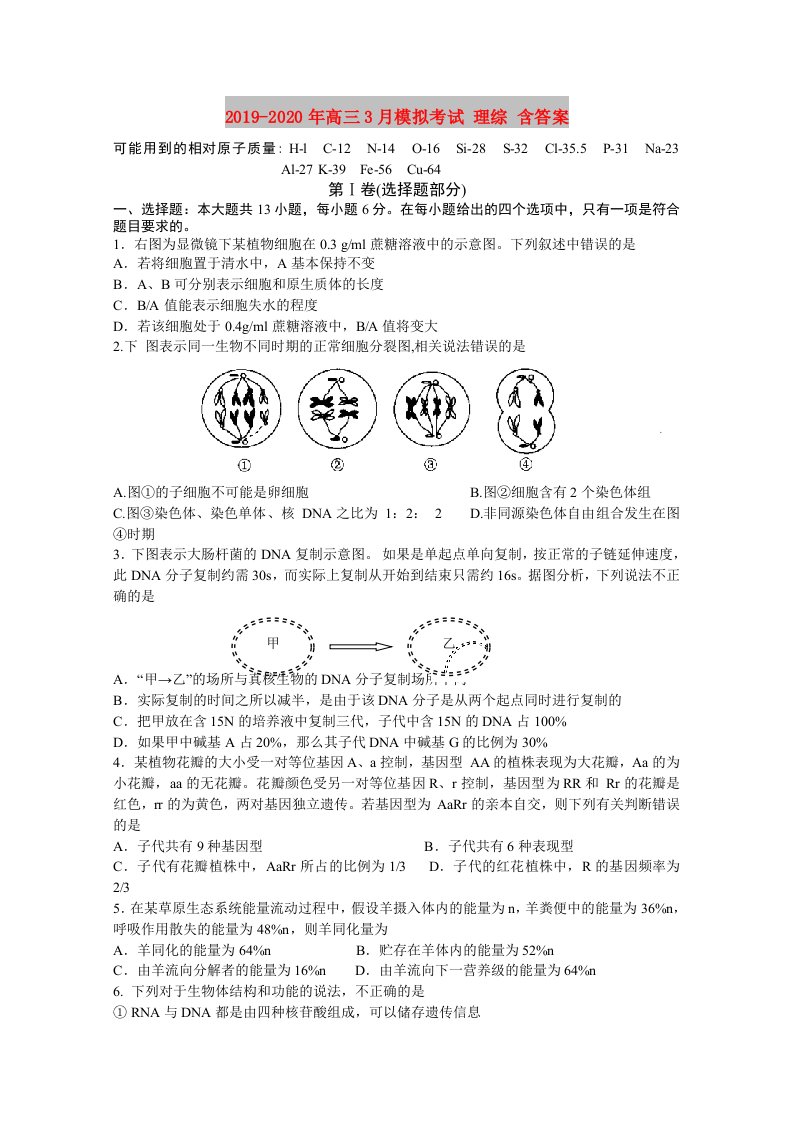 2019-2020年高三3月模拟考试