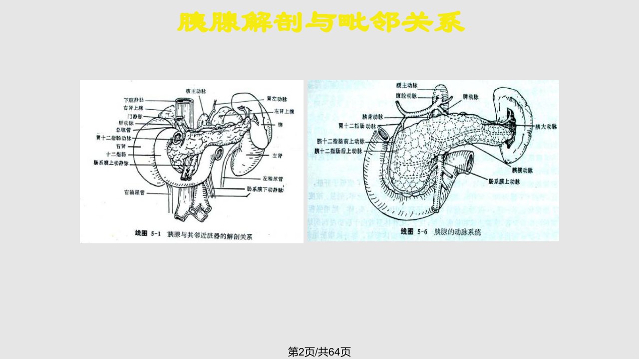 胰腺肿瘤影像