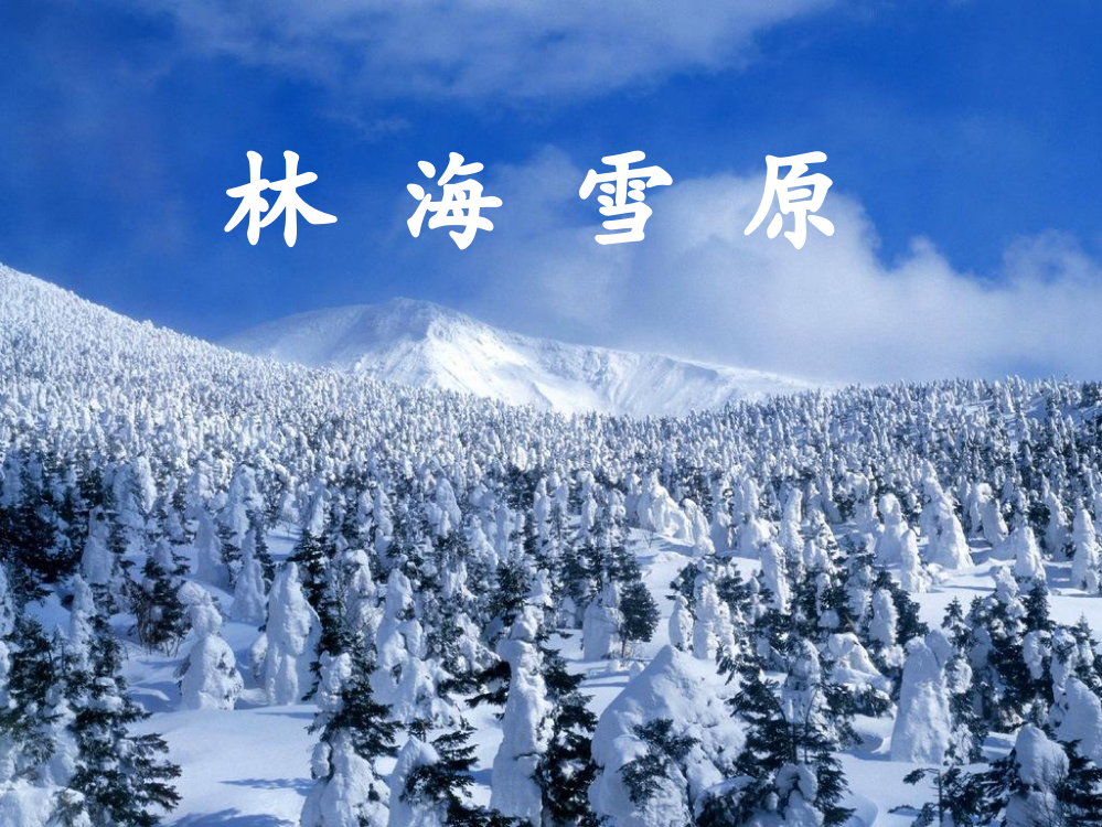 小学五年级品德与社会下册《林海雪原》课件