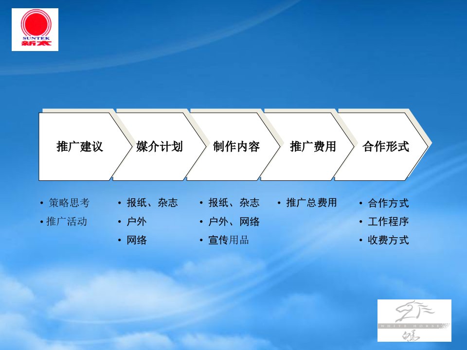 新太科技某广告发布建议及媒介计划