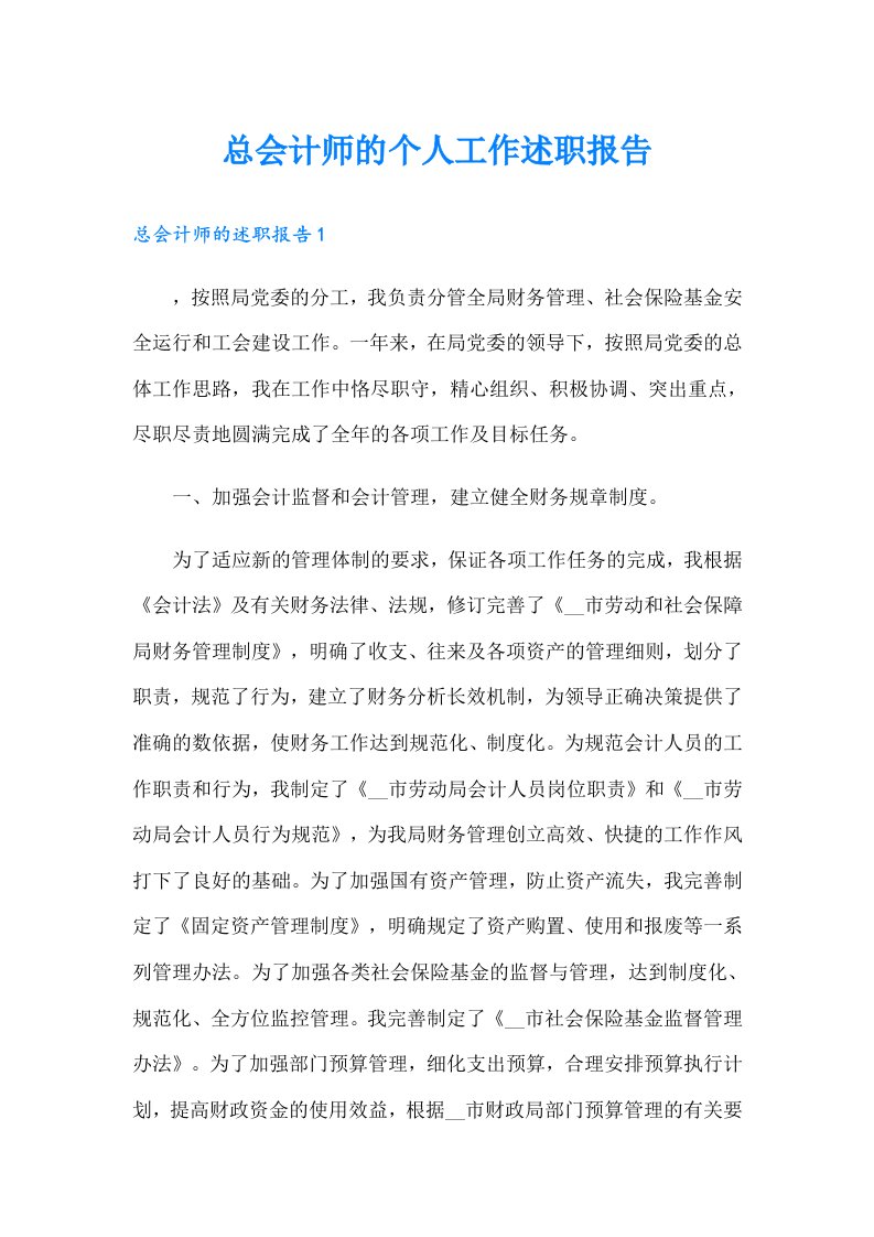 总会计师的个人工作述职报告