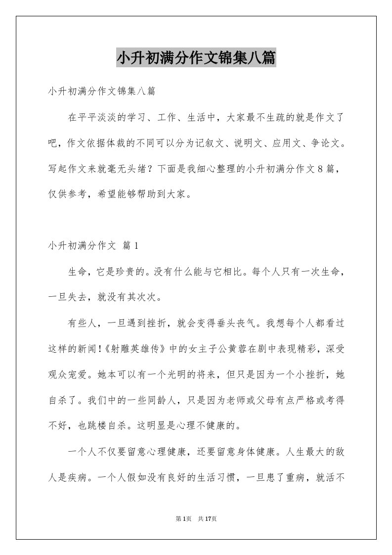 小升初满分作文锦集八篇精选